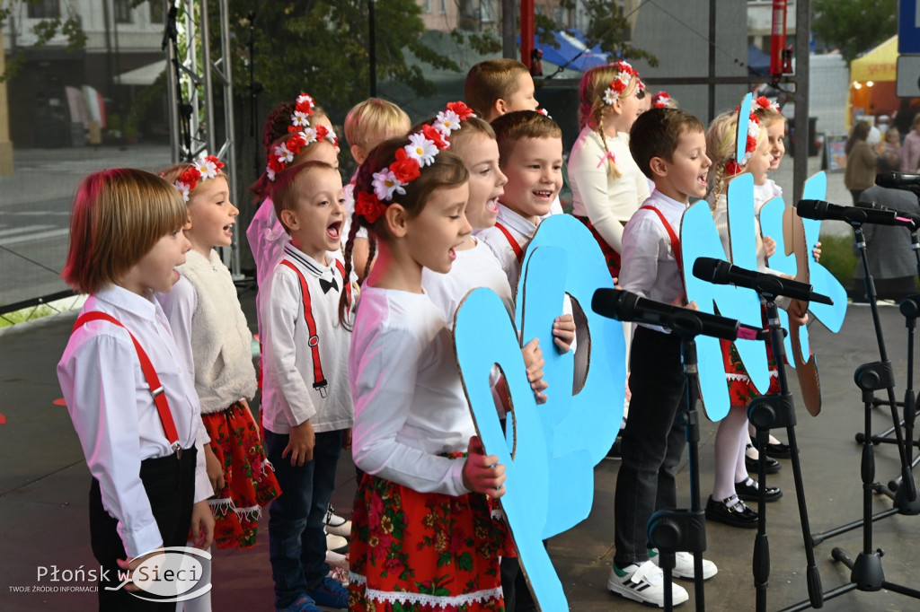 Święto patrona Płońska - występy Dzień I