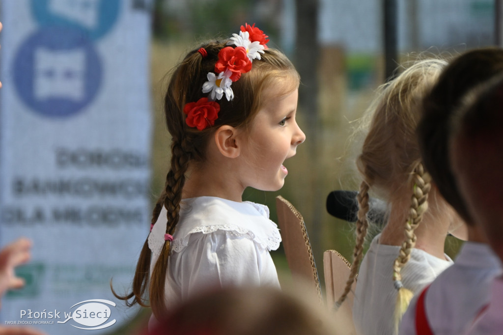 Święto patrona Płońska - występy Dzień I