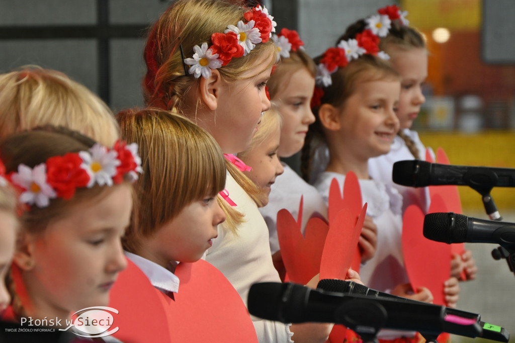 Święto patrona Płońska - występy Dzień I