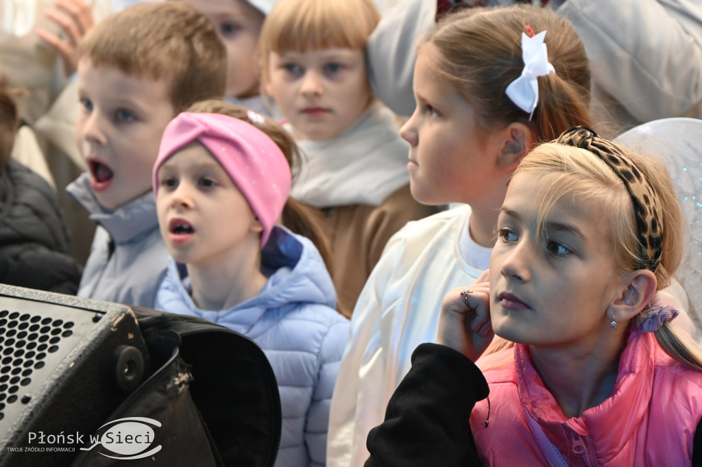 Płońszczanie na miejskim rynku - DPM dzień I