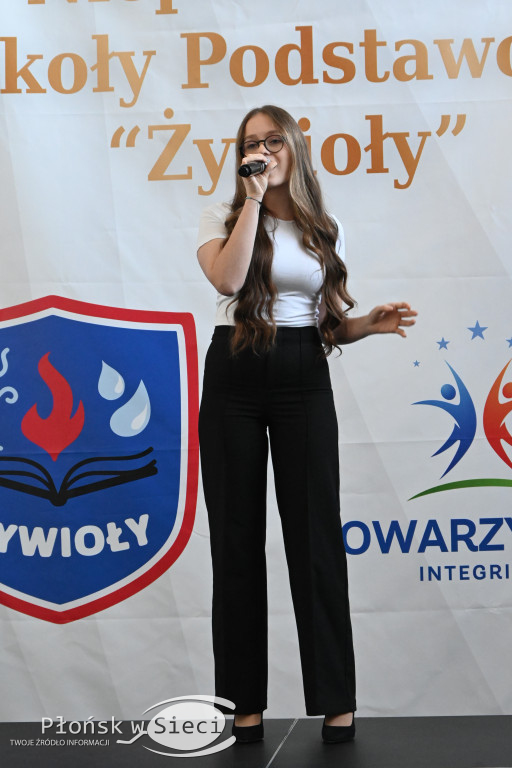 Dekada Żywiołów