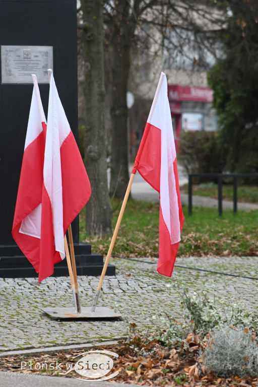 Płońszczanie pod pomnikiem Piłsudskiego