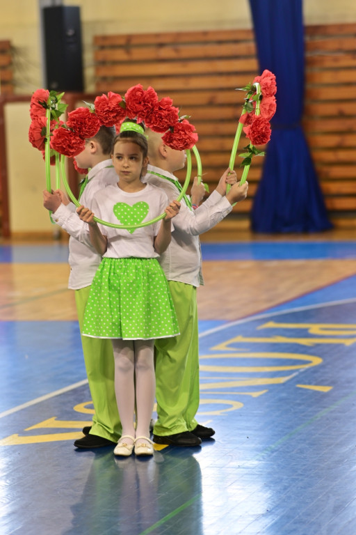 Charytatywna, sportowa impreza w płońskiej hali