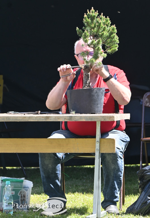 Rodzinny piknik w Kucharach