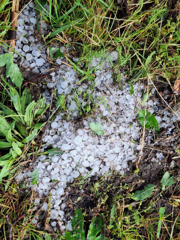 Czwartkowa nawałnica w gminie Raciąż