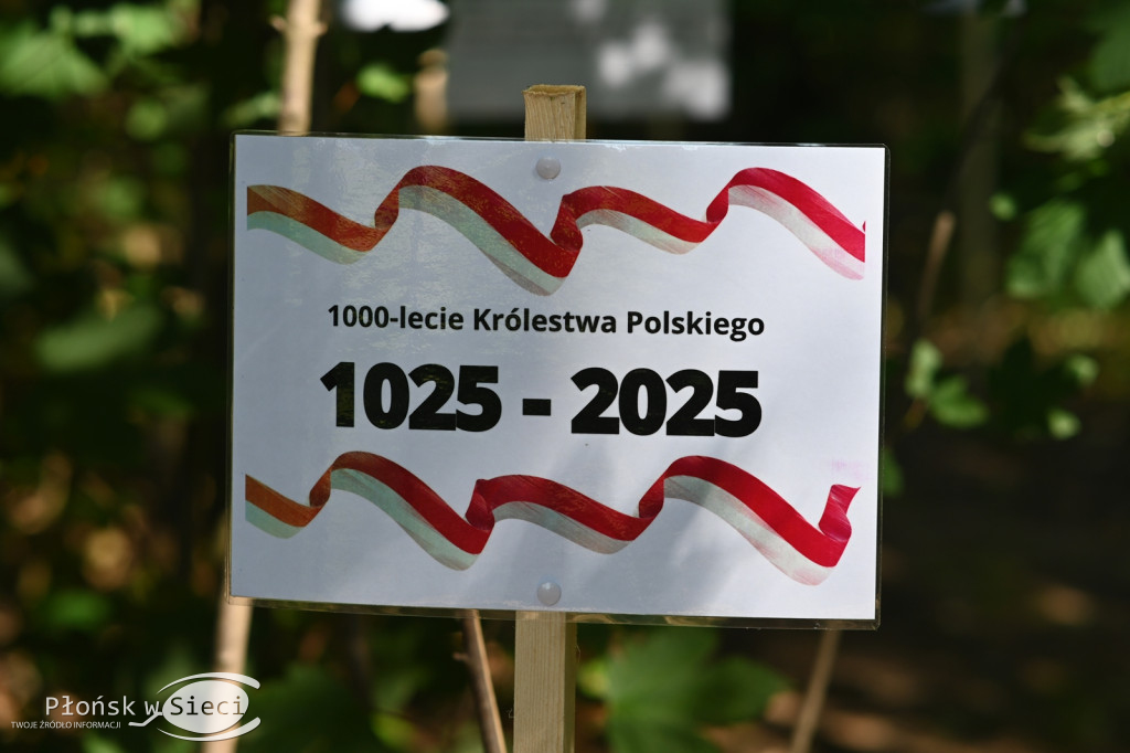 Królewskie bieganie w gminie Joniec