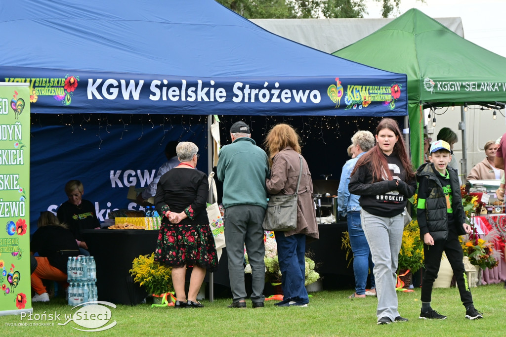 Plenerowe Święto Gminy Załuski