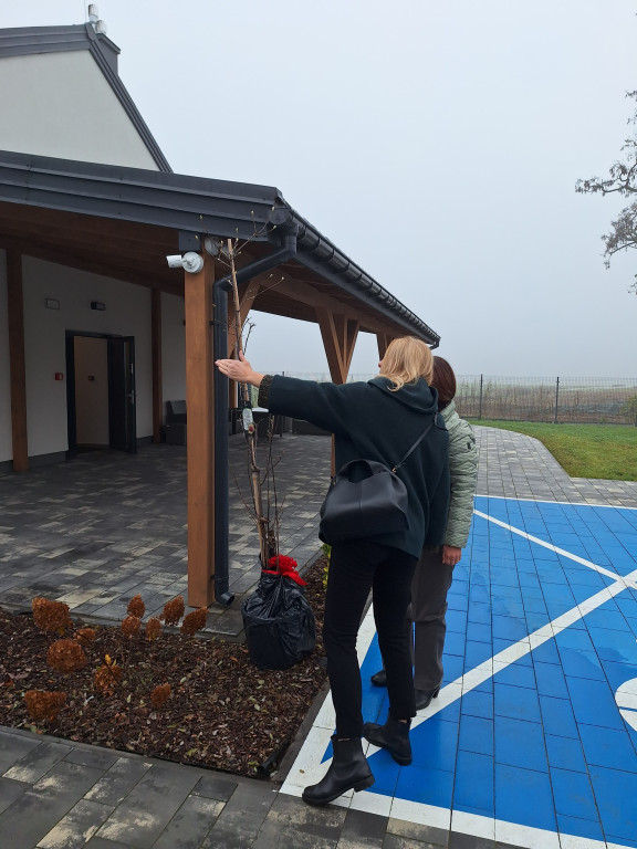 Bezpieczna przystań dla niepełnosprawnych