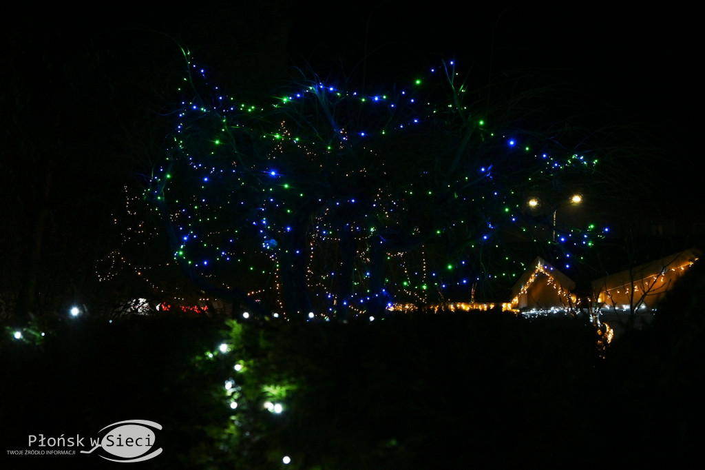 Udekorowany na święta Płońsk