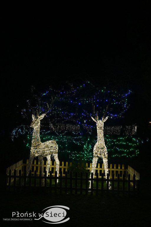 Udekorowany na święta Płońsk