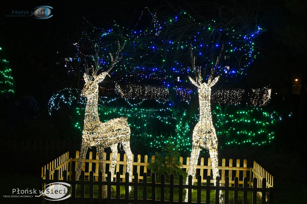 Udekorowany na święta Płońsk