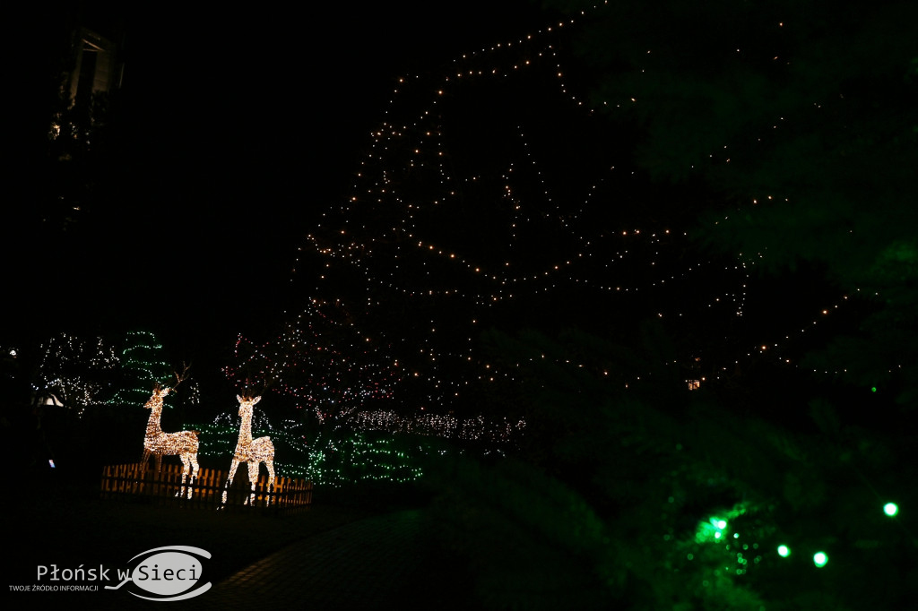 Udekorowany na święta Płońsk