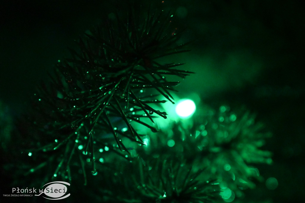 Udekorowany na święta Płońsk