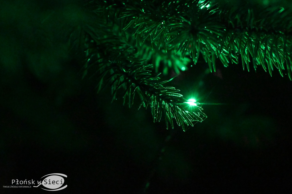 Udekorowany na święta Płońsk