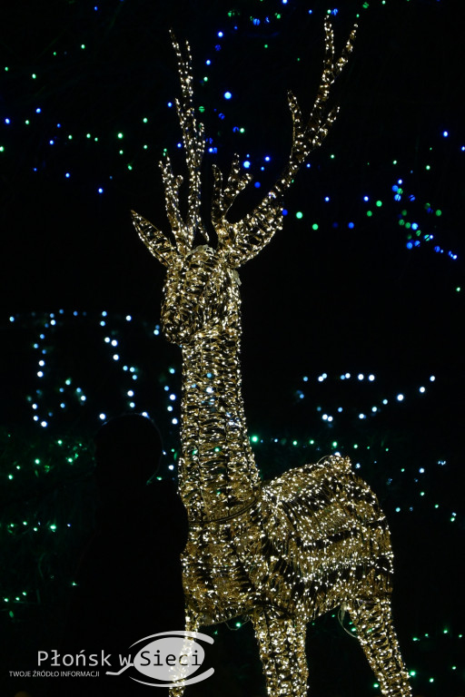 Udekorowany na święta Płońsk