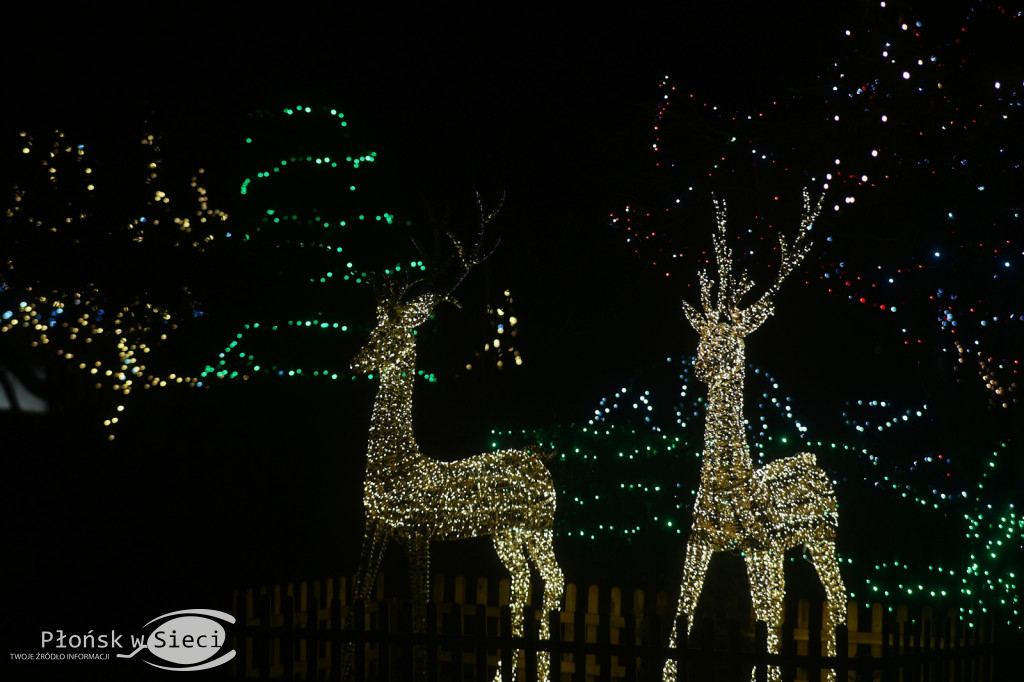 Udekorowany na święta Płońsk