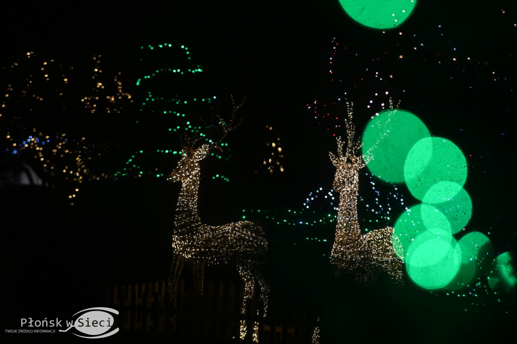 Udekorowany na święta Płońsk