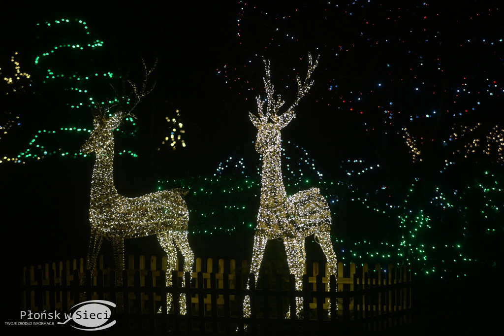 Udekorowany na święta Płońsk