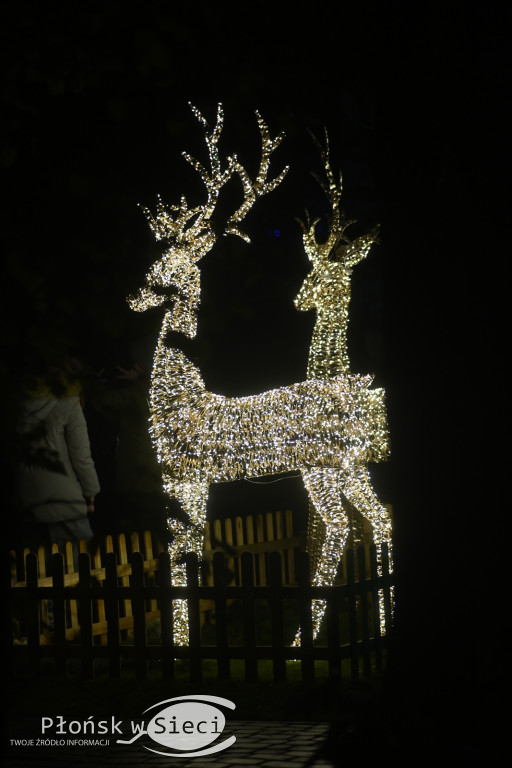 Udekorowany na święta Płońsk