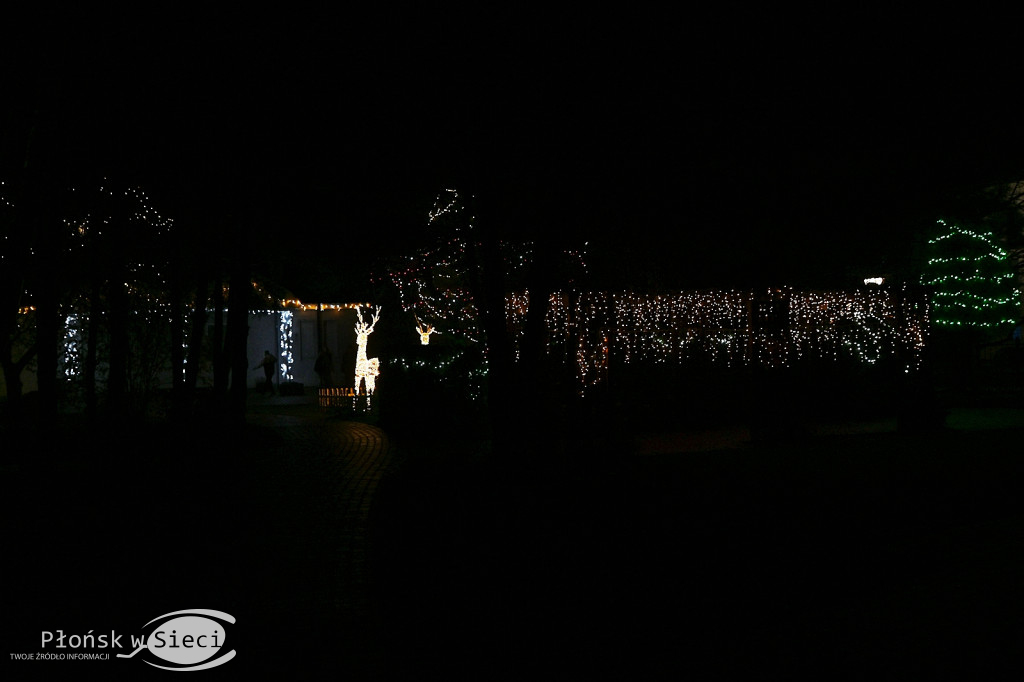 Udekorowany na święta Płońsk