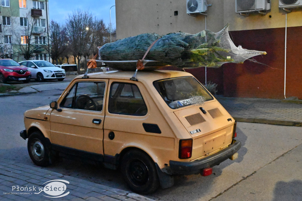 Miejska Wigilia w Płońsku