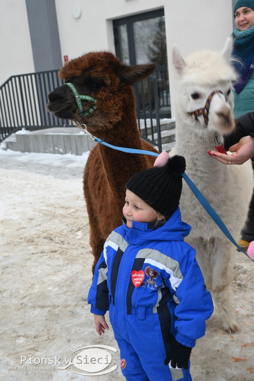 WOŚP grała w Jońcu