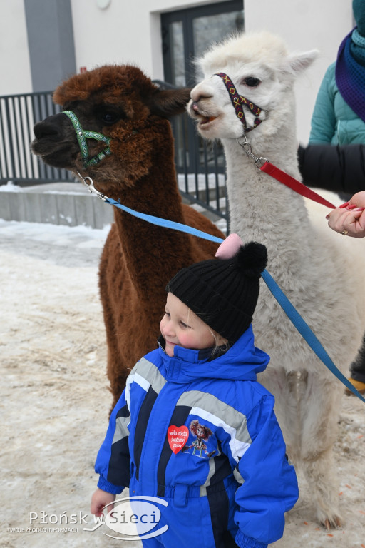WOŚP grała w Jońcu