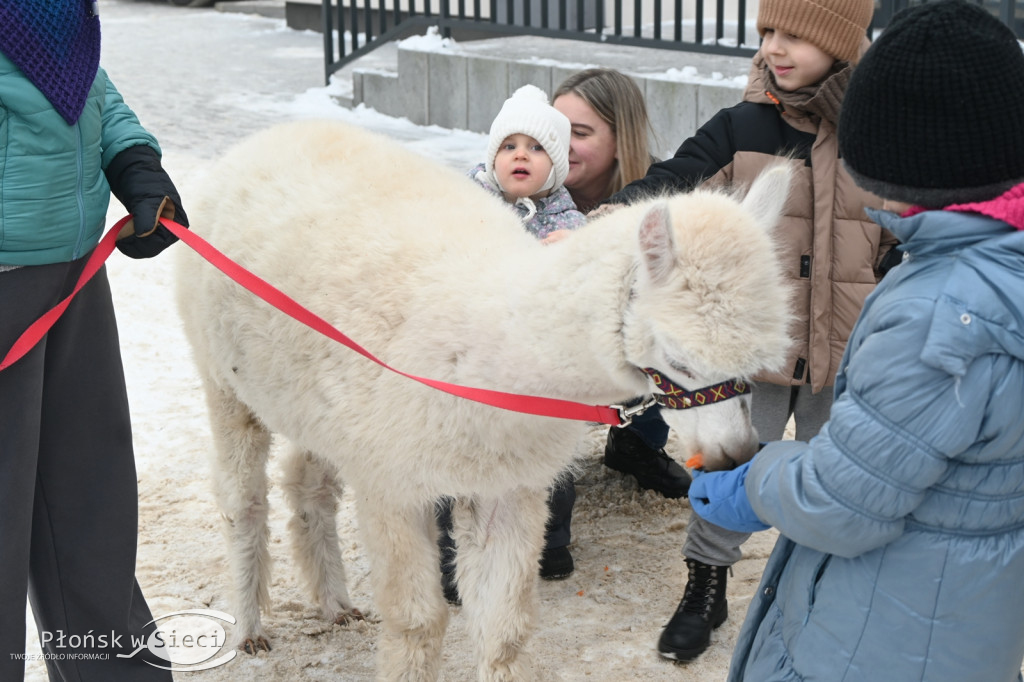 WOŚP grała w Jońcu