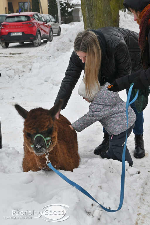 WOŚP grała w Jońcu