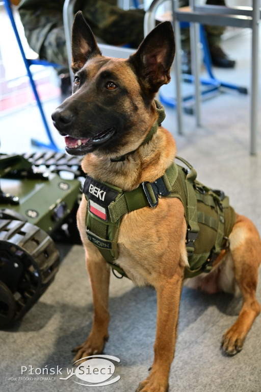 Dni Otwarte w Zespole Szkół w Czerwińsku