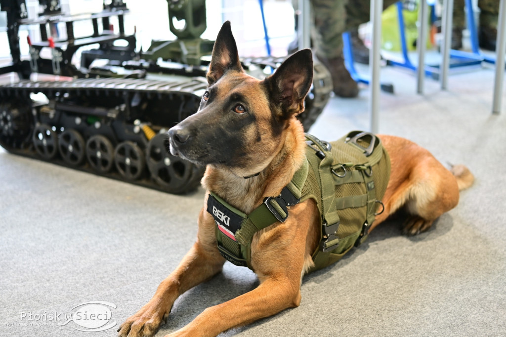 Dni Otwarte w Zespole Szkół w Czerwińsku