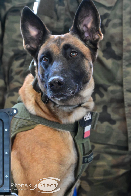 Dni Otwarte w Zespole Szkół w Czerwińsku