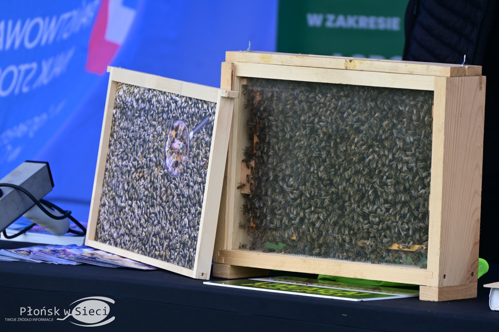 Mazowieckie Dni Rolnictwa - dzień I