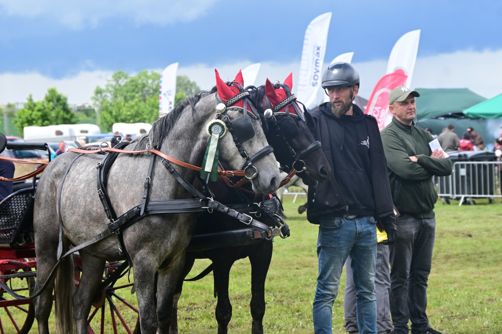 Mazowieckie Dni Rolnictwa - dzień II