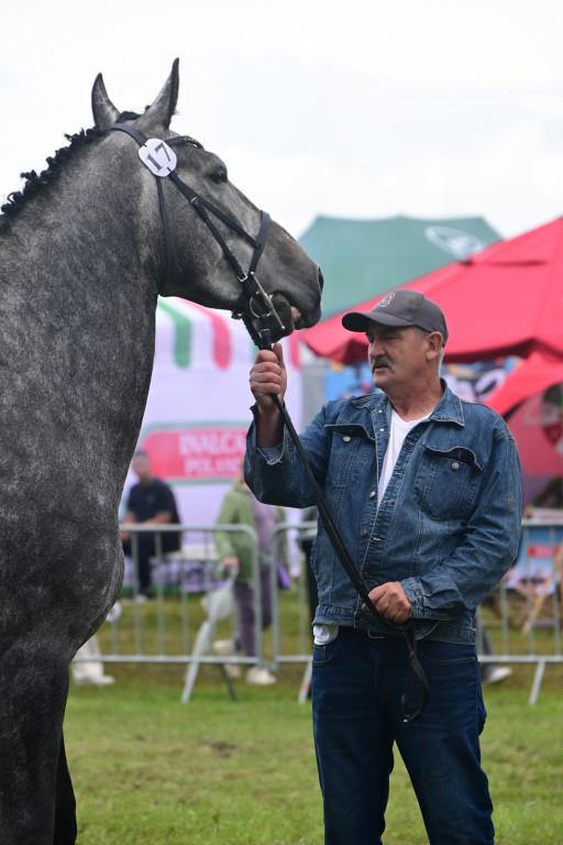 Mazowieckie Dni Rolnictwa - dzień II