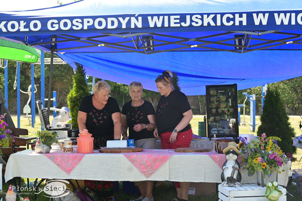 Piknik rodzinny w gminie Naruszewo