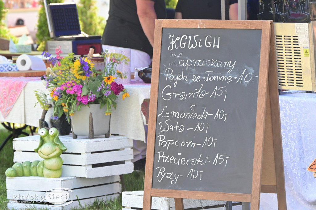 Piknik rodzinny w gminie Naruszewo