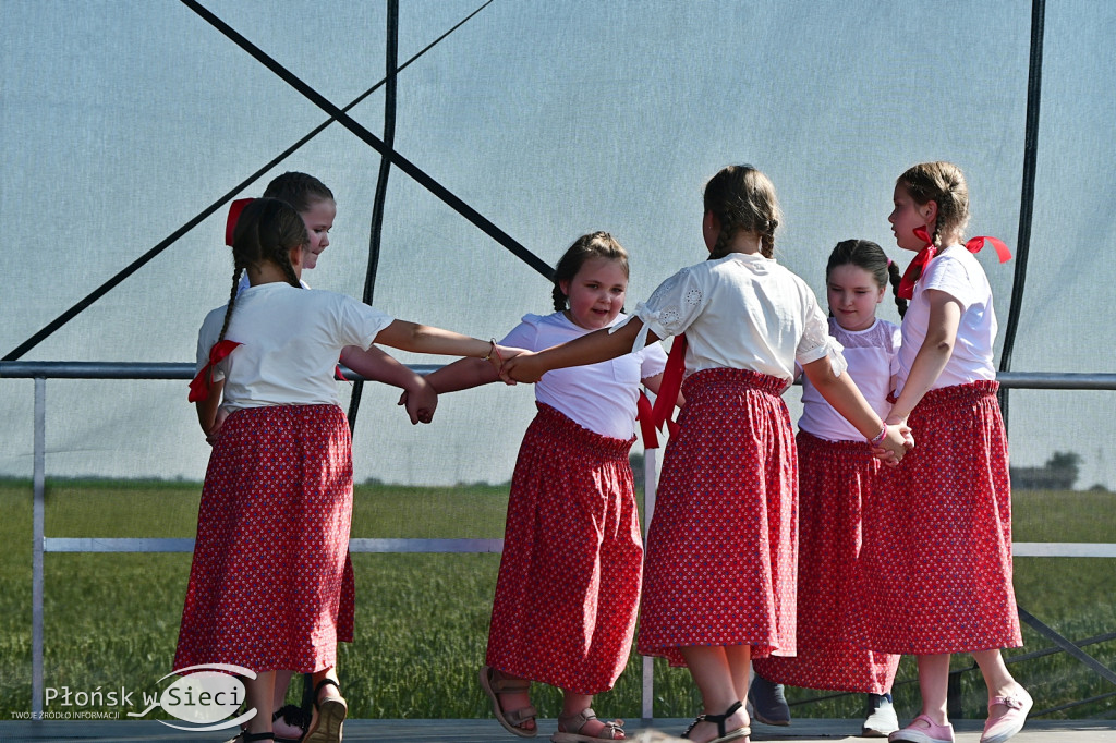 Piknik rodzinny w gminie Naruszewo
