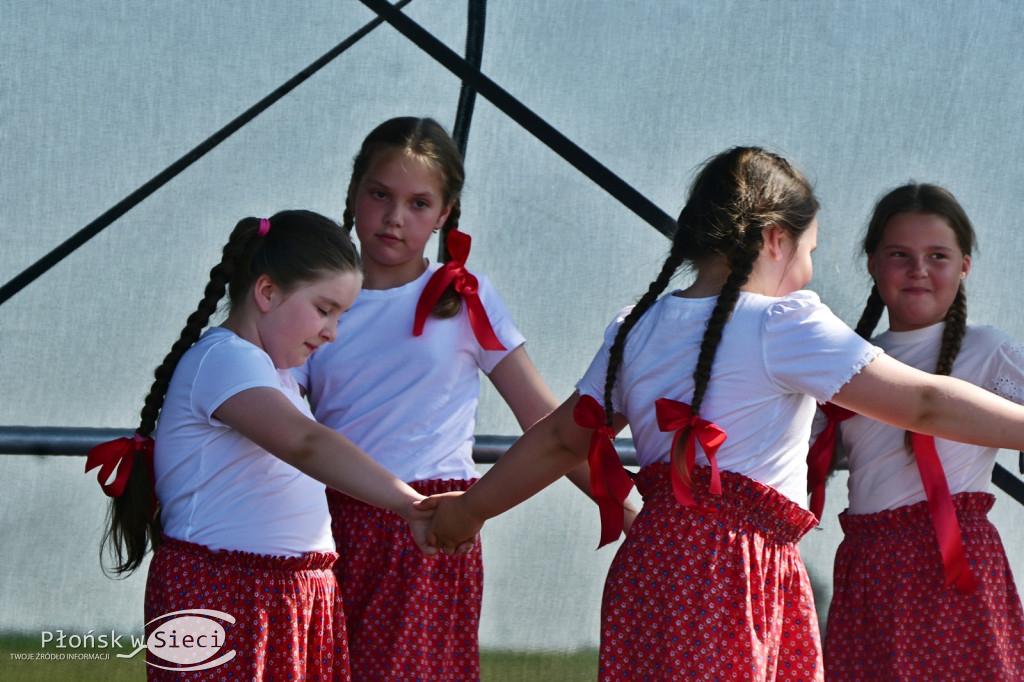 Piknik rodzinny w gminie Naruszewo