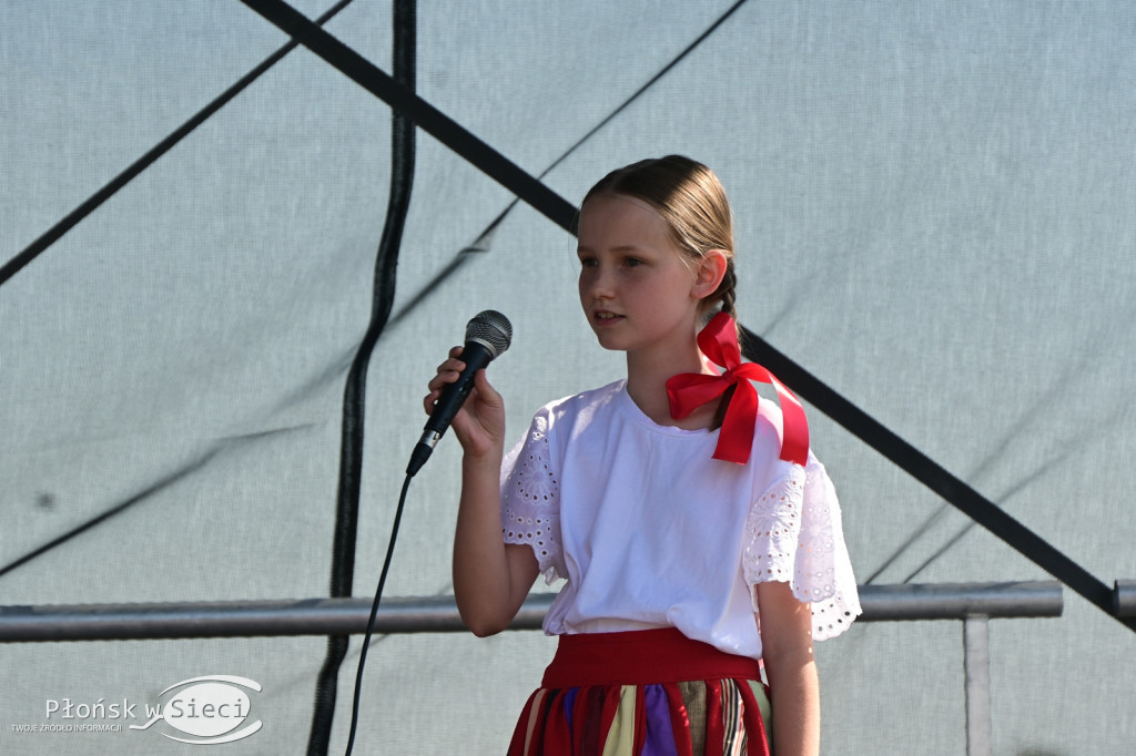 Piknik rodzinny w gminie Naruszewo