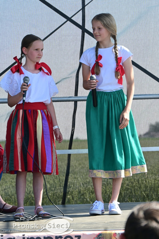 Piknik rodzinny w gminie Naruszewo