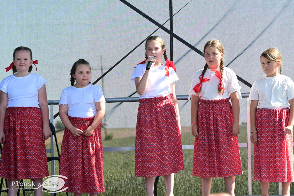 Piknik rodzinny w gminie Naruszewo