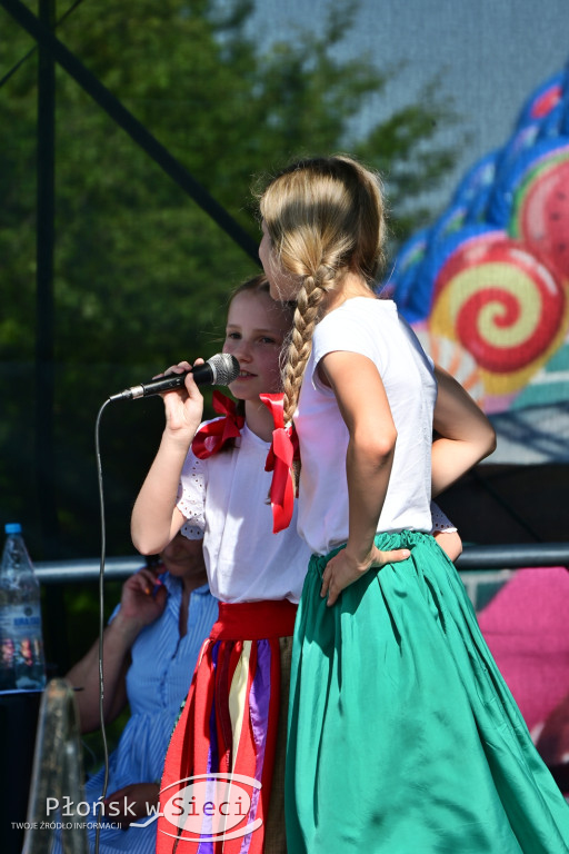 Piknik rodzinny w gminie Naruszewo
