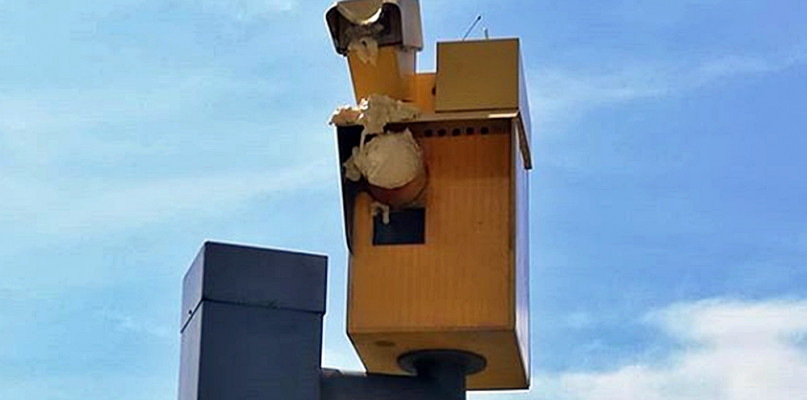 Zdewastowany fotoradar na krajowej pięćdziesiątce w Radzyminku