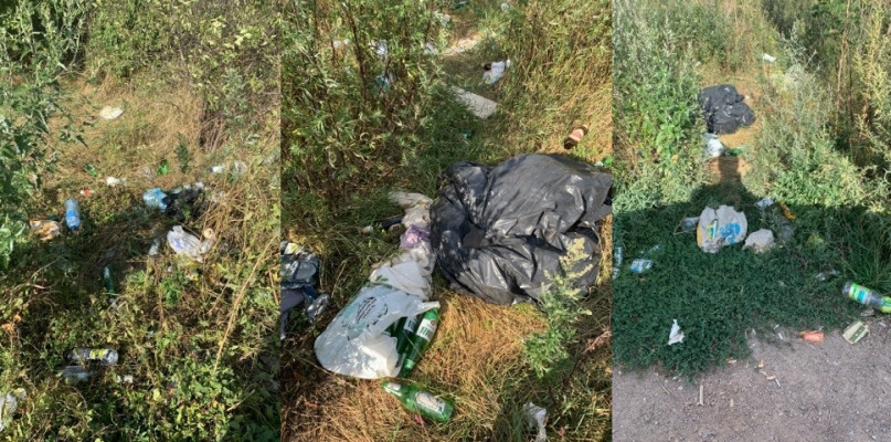 'Chlew' w Dalanówku, przy polnych drogach, poza składowiskiem [Foto: Czytelnika]