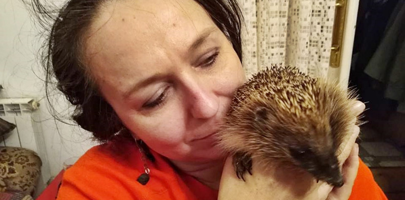 - Pojawiają się u nas najróżniejsze zwierzęta- od wiewiórki i jeża do jerzyków, bocianów czy zajęcy, a każdy ma zupełnie inna biologię (...) - przyznaje nasza rozmówczyni, Izabela Czarnecka-Walicka [Foto: https://www.facebook.com/iza.czarnecka] 