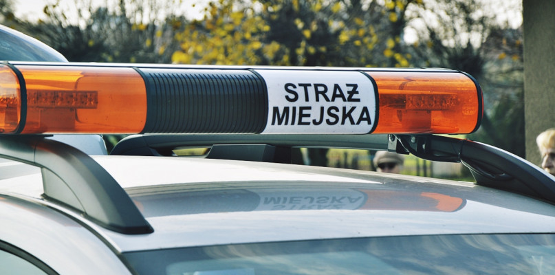 [Foto: Redakcja/Archiwum/Zdjęcie ilustracyjne]