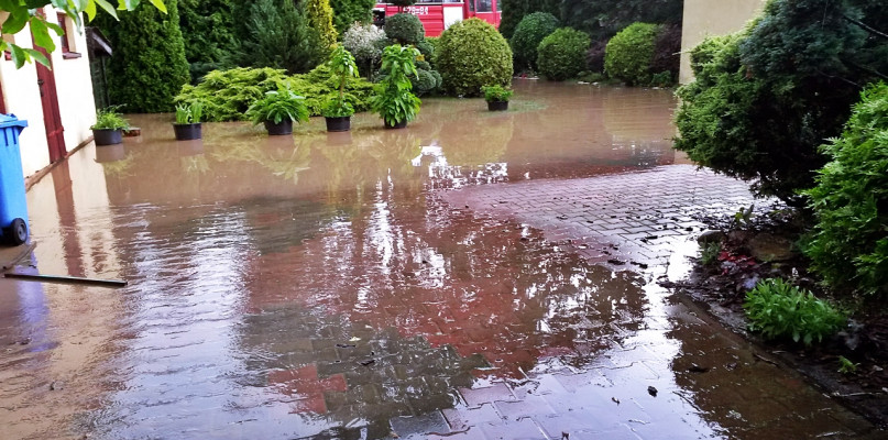 Na posesji pani Hanny konieczna była interwencja strażaków [Foto: prywatne]
