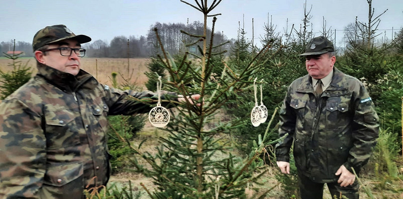 Do drzewka dołączana jest w prezencie od Nadleśnictwa Płońsk taka oto drewniana bombka [Foto: Łukasz Wielechowski]