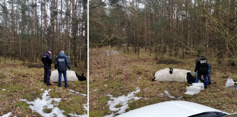 [Foto: KPP Mława]